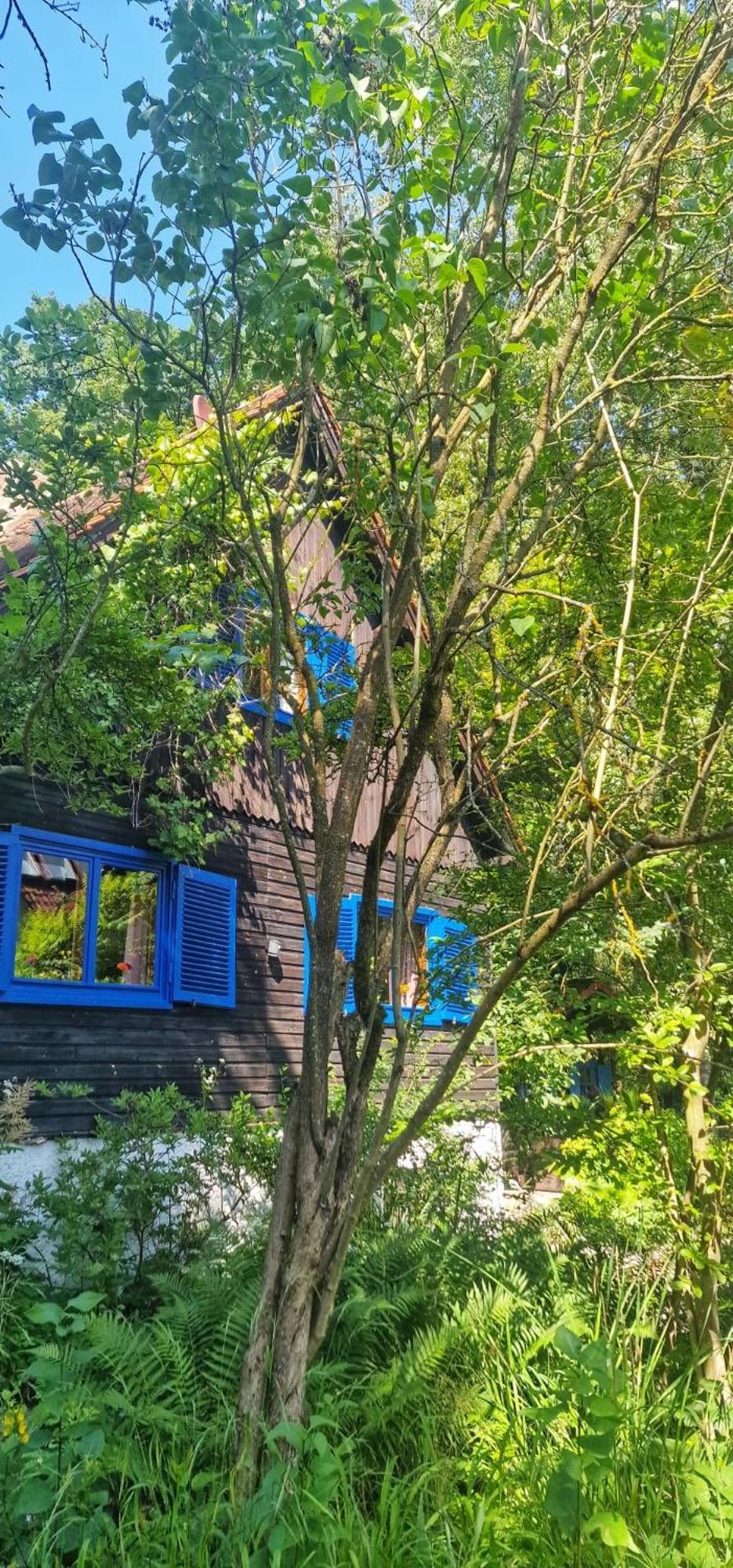 Forsthaus Sommerleite Kammerstein Esterno foto